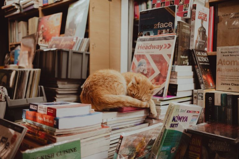 kucing-berbulu-merah-tidur-di-atas-tumpukan-buku-di-sebuah-toko-buku-yang-nyaman-di-Istanbul
